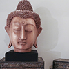 Buddha head